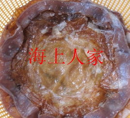 寻找咸水产品,广东沿海一带有没有泥螺 海蜇 虾干等... 看图片