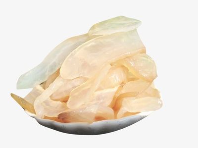 厚实的海蜇素材_新图网