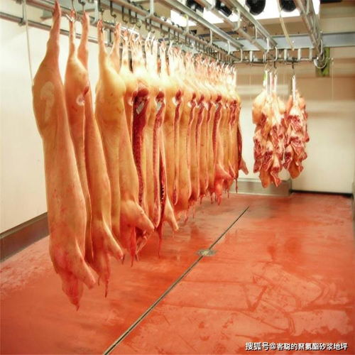 食品厂冷库为何使用聚氨酯砂浆地坪