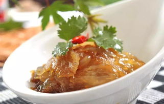 海中可爱的 果冻 ,碰碰就会致命哦