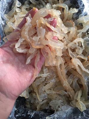 [海蜇批发]江苏连云港赣榆区海蜇 8.00元/斤海蜇丝 海蜇 一 _ 一亩田