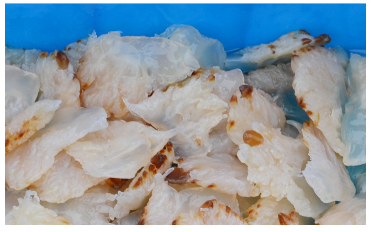 供应海蜇头批发 大量优质海蜇头 海蜇头大花 厂家直销 h-03_腌制水产