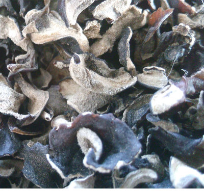 毛木耳的批发、供应与市场前景——以鸿宇农牧为例