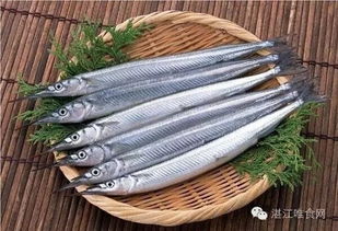 尝遍独具魅力的湛江美食 在美食乐园里游荡，品味鲜香海蜇