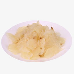 千库网高清免费海蜇素材下载 白色透明海蜇（编号7779354）产品实物PNG图片