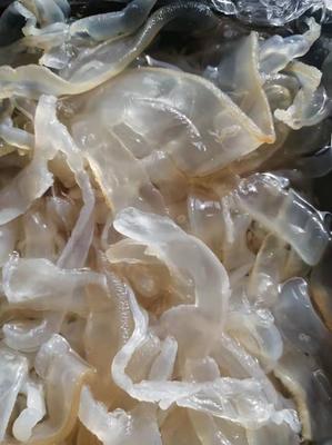 [海蜇批发]山东滨州沾化区海蜇 17.00元/件【推荐】海蜇丝 _ 一亩田